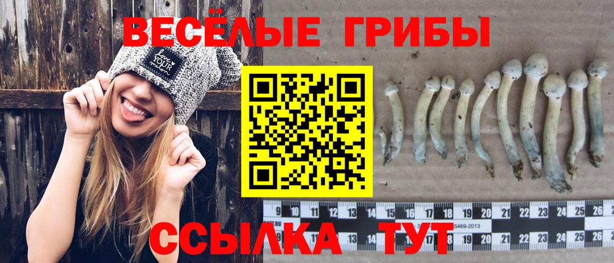 Миллерово  Псилоцибиновые грибы Psilocybine cubensis  Вход с VPN 