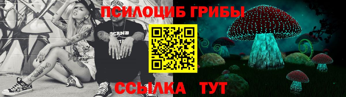 Псилоцибиновые грибы Psilocybine cubensis Миллерово